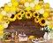 7x5FT Sunflower Birthday Party Decorations Sunflowers Flowers Fall Party